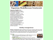 Tablet Screenshot of gmo.pl